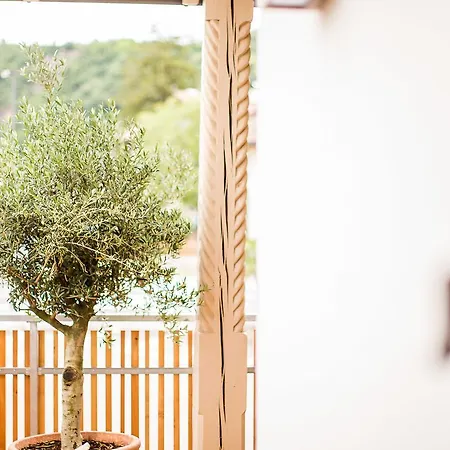 Pizzeria Zur Traube Bed & Breakfast *