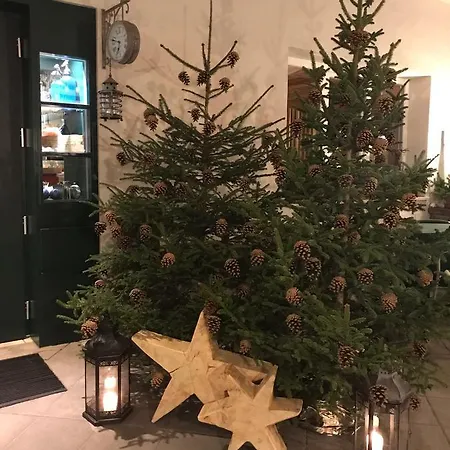 Bed & Breakfast Pizzeria Zur Traube *